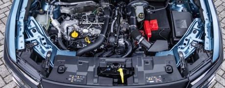 Boreal quer elevar o patamar da Renault no Brasil